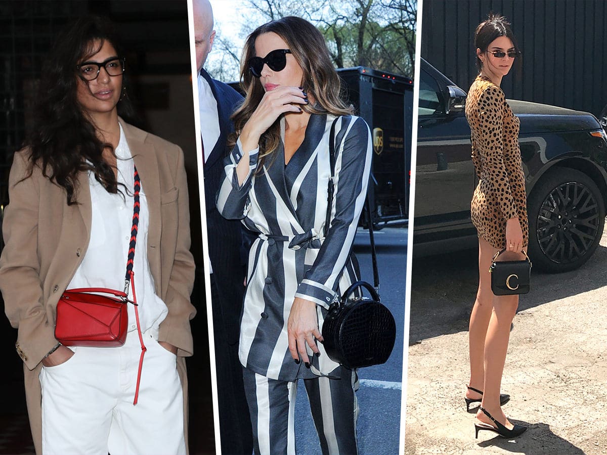 Louis Vuitton Leads the Pack of Celebrity Bag Picks This Week - PurseBlog