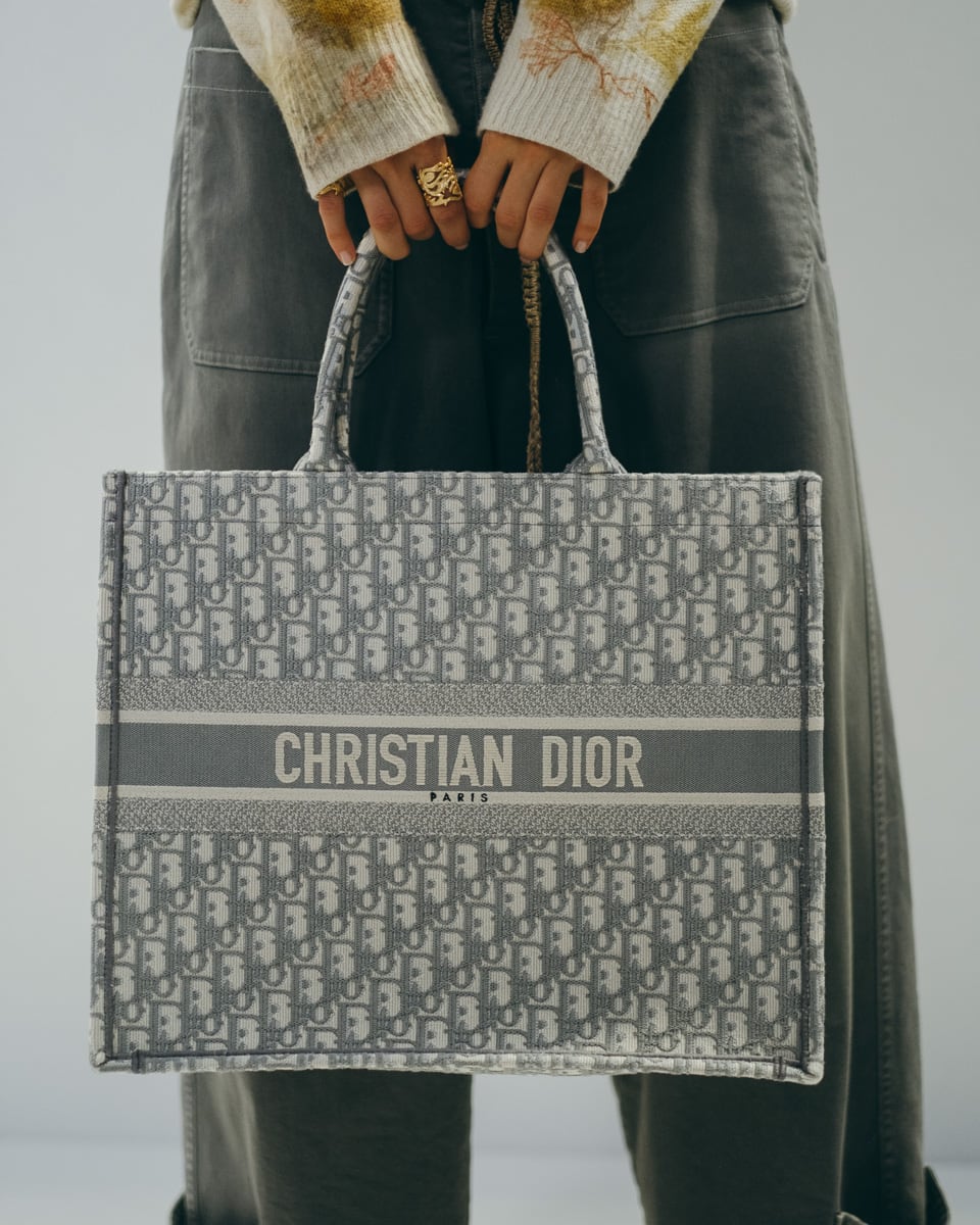 dior grey bag