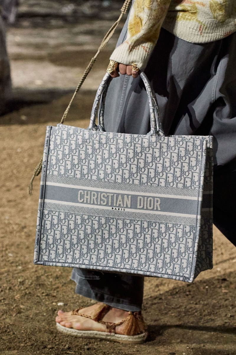 The Beautiful and Wearable Bags of Dior Spring 2020 - PurseBlog