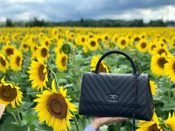 The Best National Handbag Day 2019 Snaps and Shares