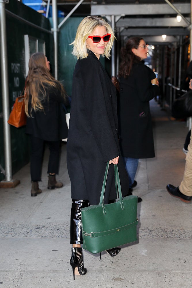 Jenny McCarthy carries pet pooch in a Louis Vuitton bag in New York