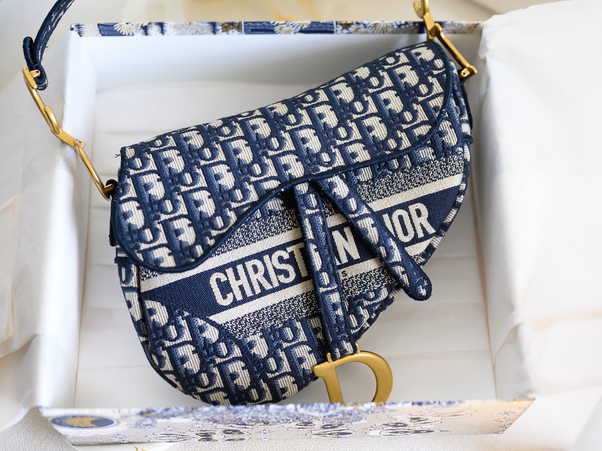 christian dior kidney bag