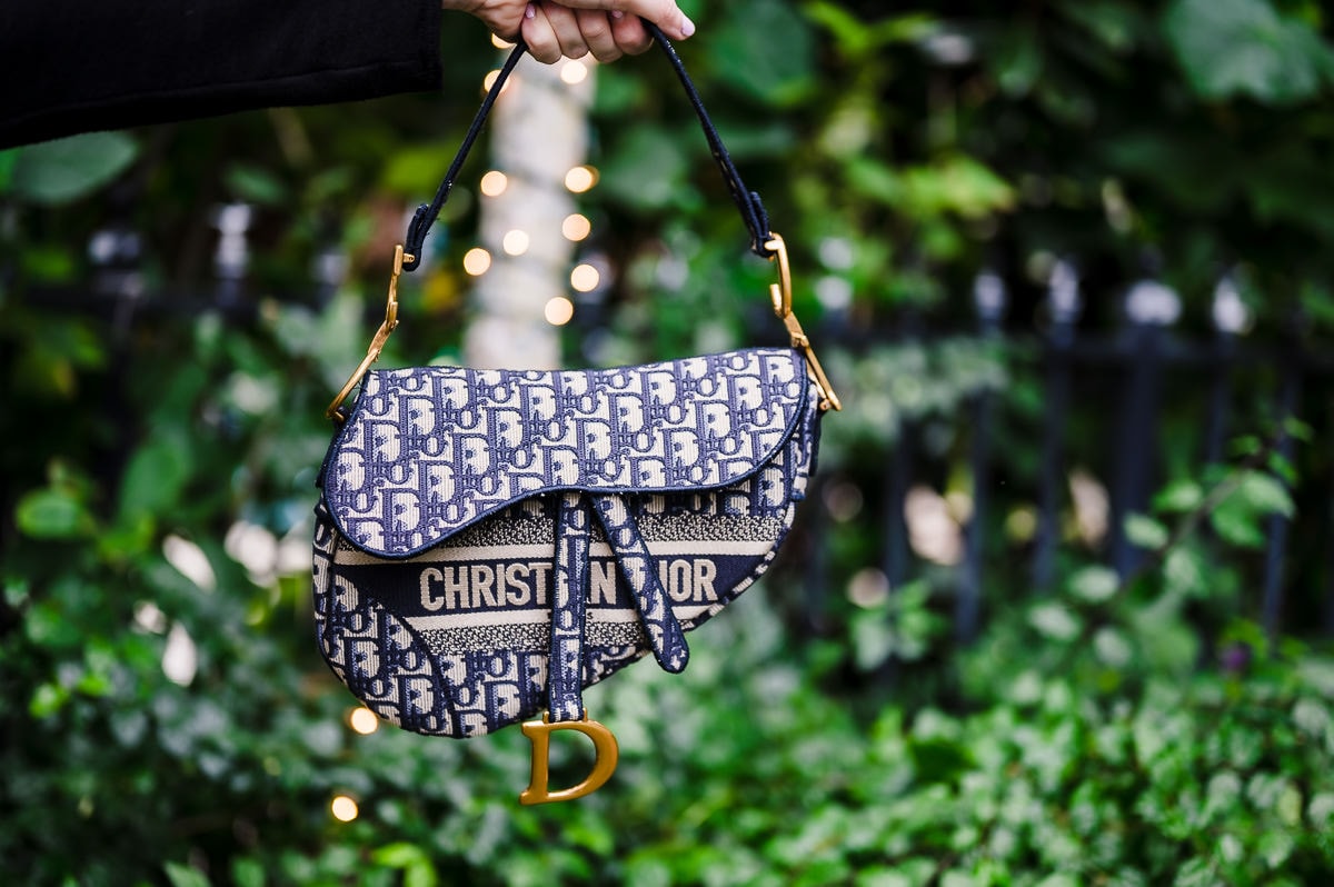 Unveiling My New Dior Oblique Embroidered Canvas Bag - PurseBlog