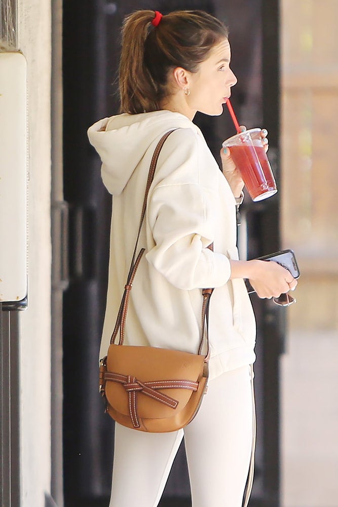 Loewe gate bag purseforum 2025