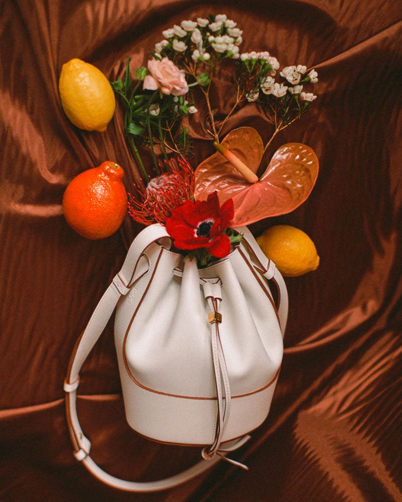 Loewe Small Balloon Bag Canvas and Calfskin In Brown