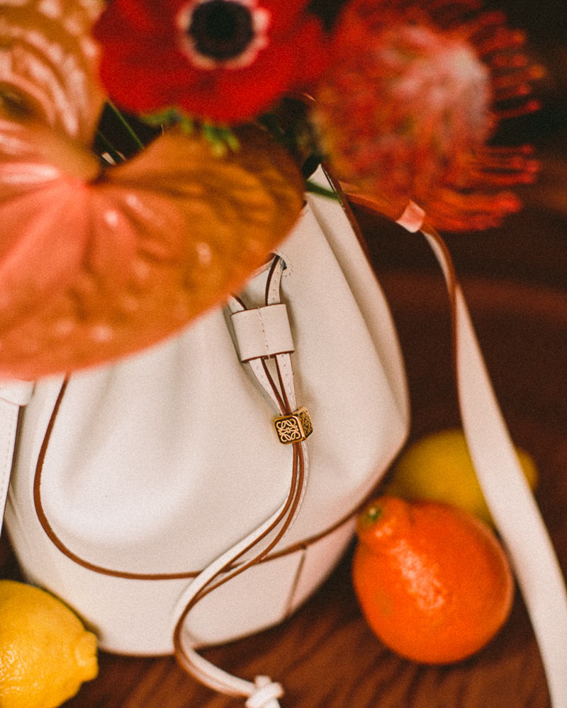 Bag Talk: Loewe Balloon Bag