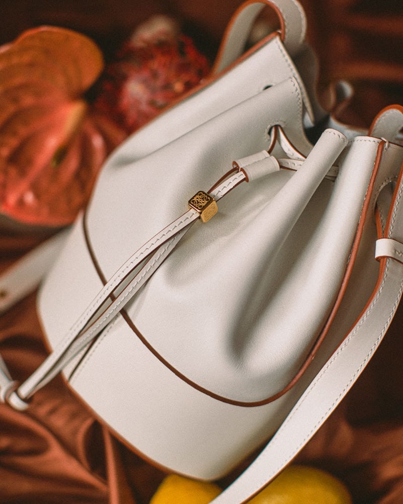 Introducing the Loewe Balloon Bag - PurseBlog