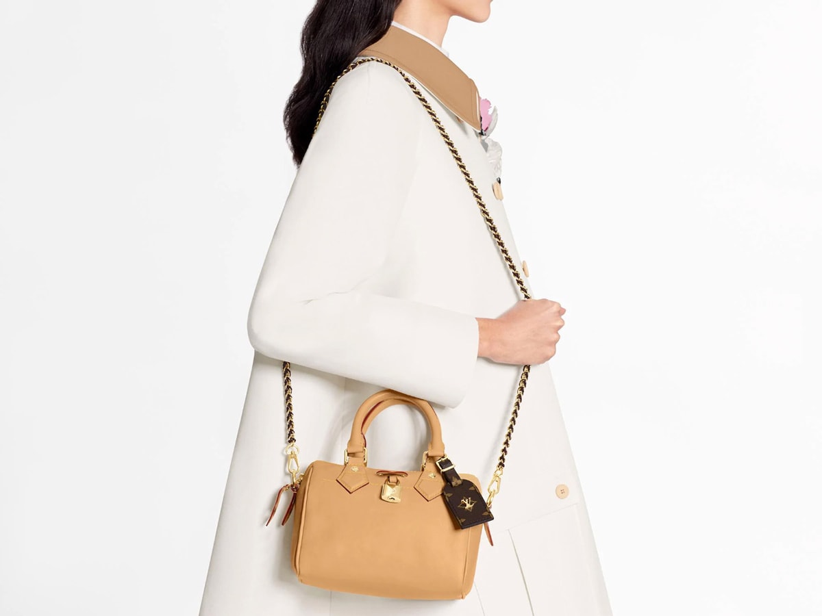 Louis Vuitton's Iconic Speedy Gets a Mini Makeover for Spring 2020 -  PurseBlog