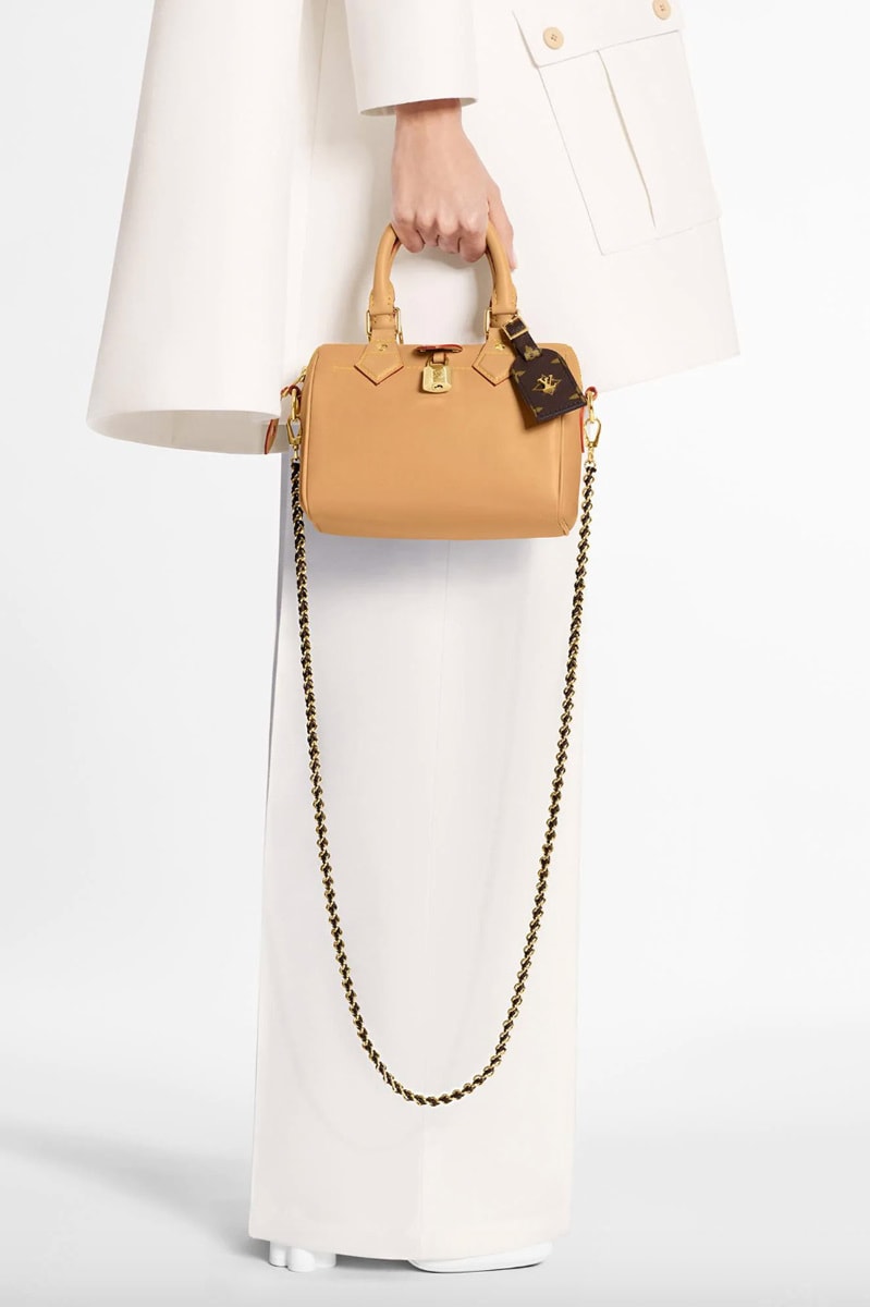 The Ultimate Bag Guide: The Louis Vuitton Speedy Bag - PurseBlog