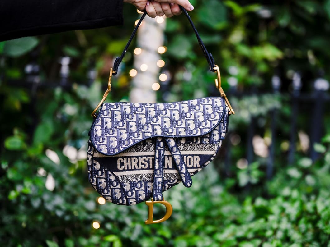 christian dior saddle bag