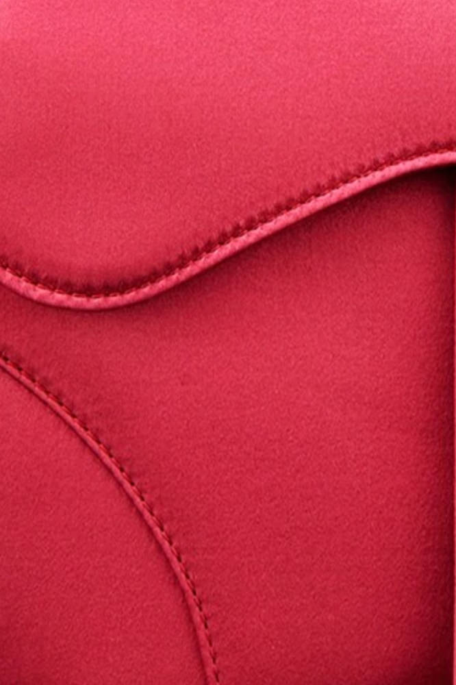 Handbag Guide: A Deep Dive Into the Dior Saddle Bag
