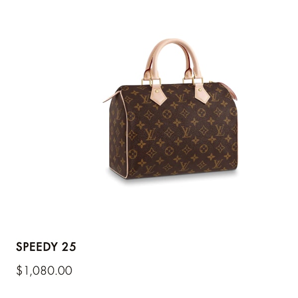 louis vuitton website with price
