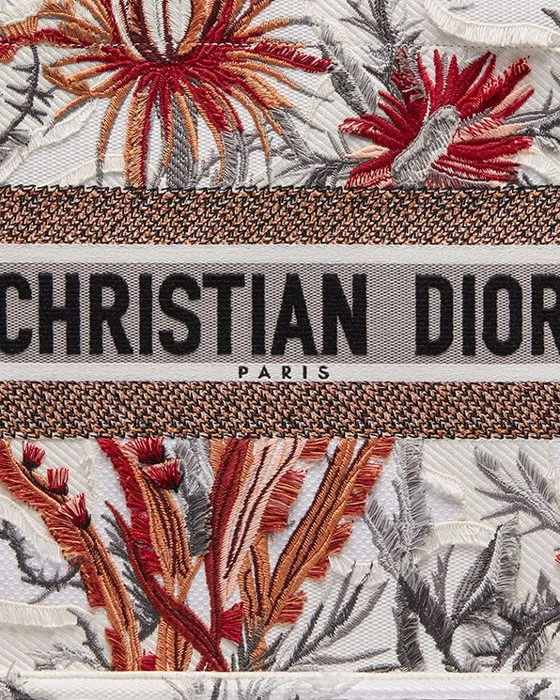 The Dior Book Tote Size Guide - PurseBlog
