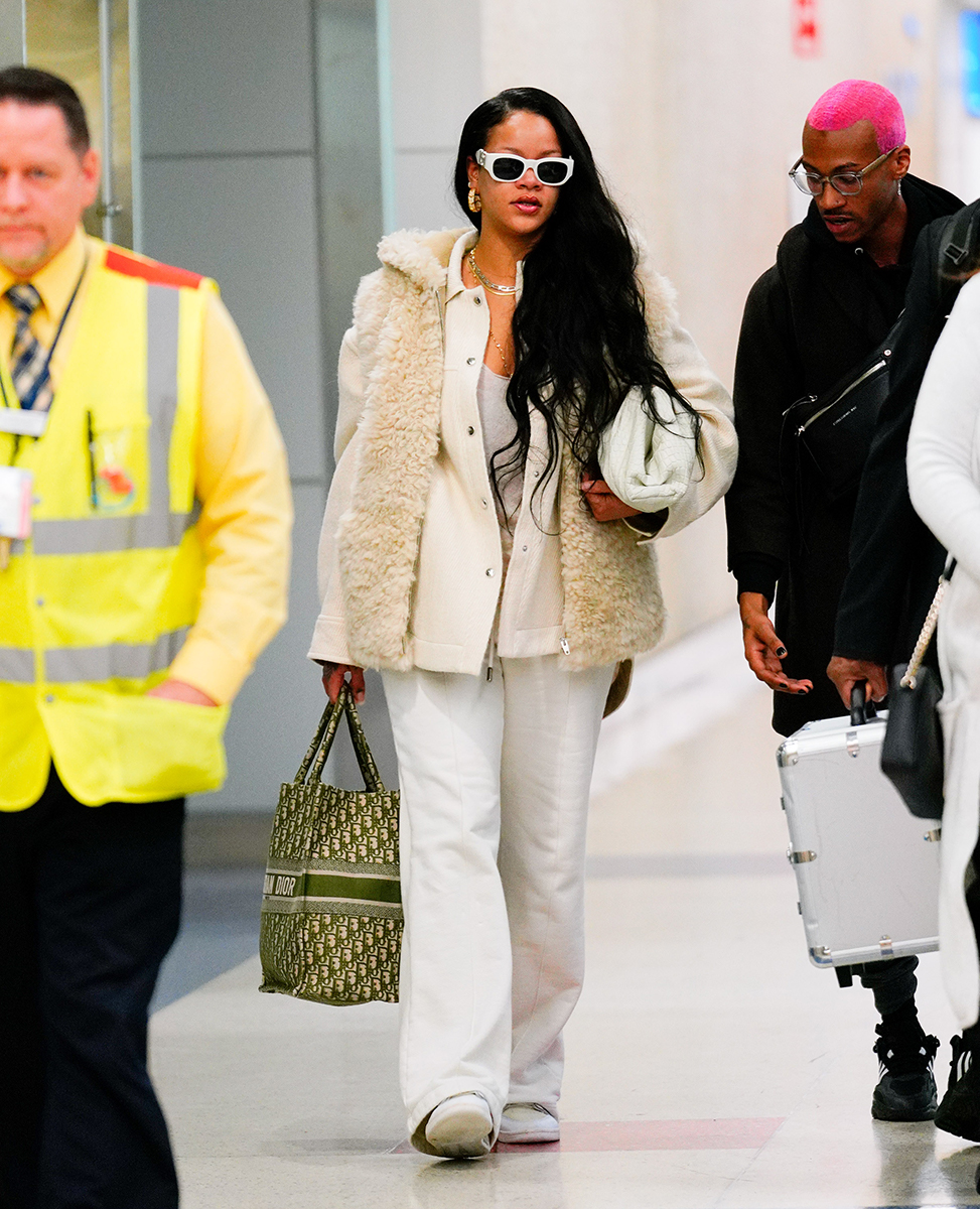 celebrities with dior book tote