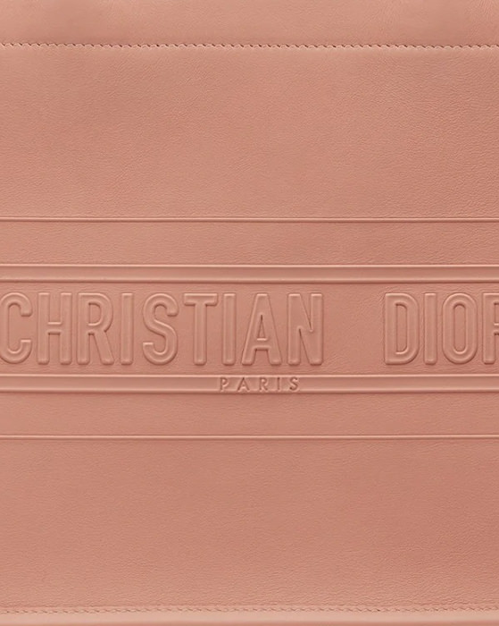 Bag Review: Dior Toile de Jouy Book Tote – The Bag Hag Diaries