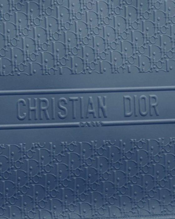 The Dior Book Tote Size Guide - PurseBlog