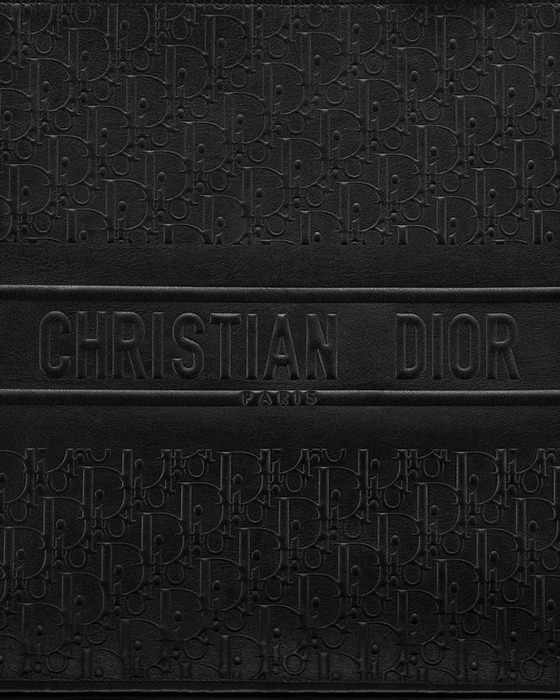 The Dior Book Tote Size Guide - PurseBlog