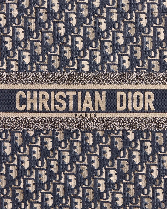 The Dior Book Tote Size Guide - PurseBlog