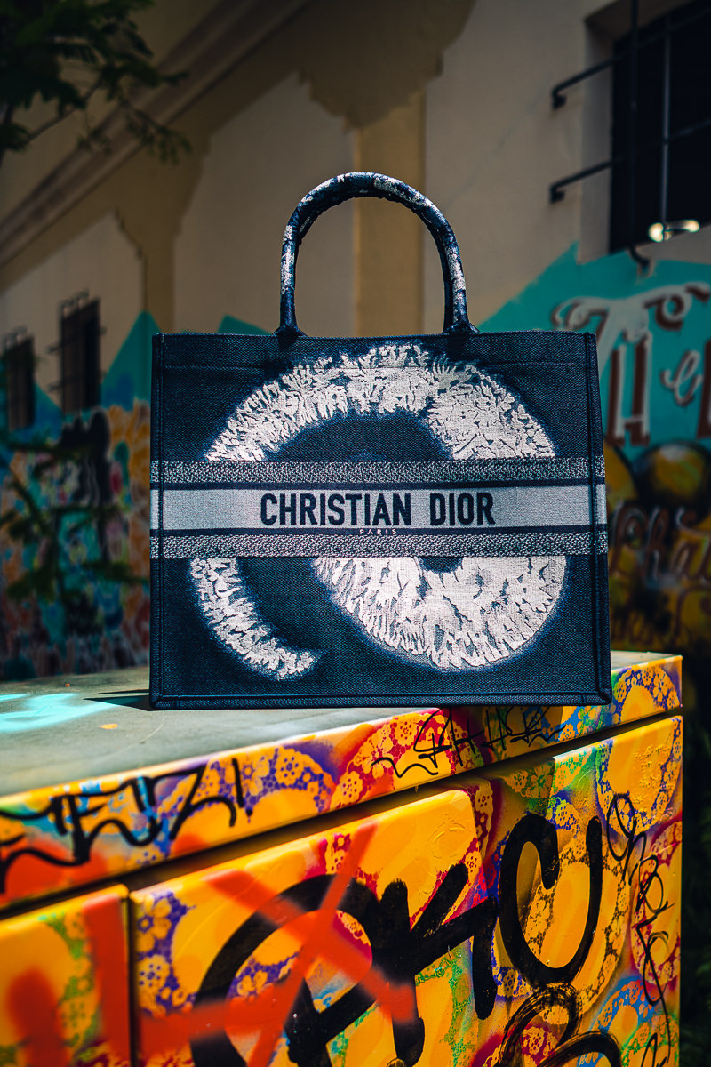 Louis Vuitton to Dior: we review 4 of 2019's hottest it-bags