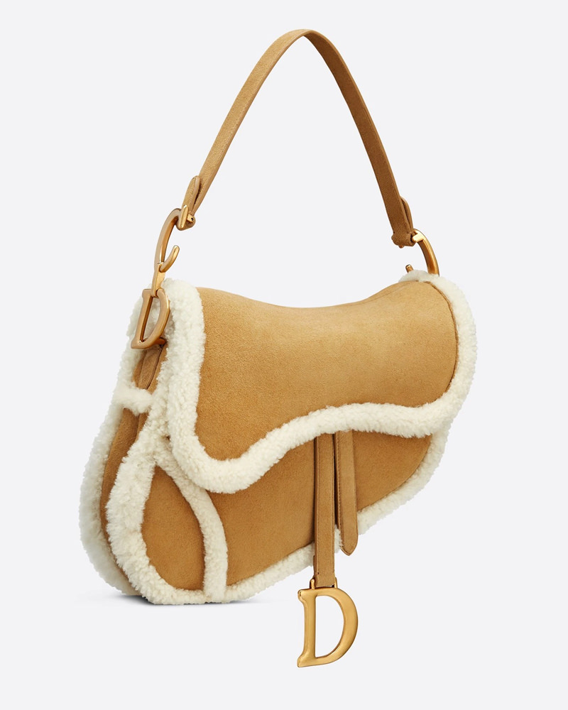 Diors Iconic Saddle Bag Gets An Update For Winter 2020 Purseblog