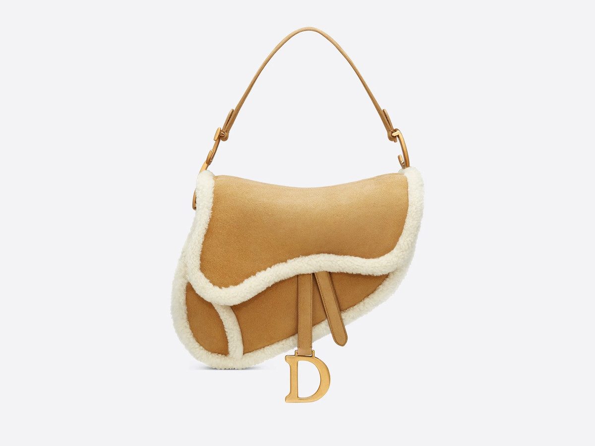 dior saddle ba