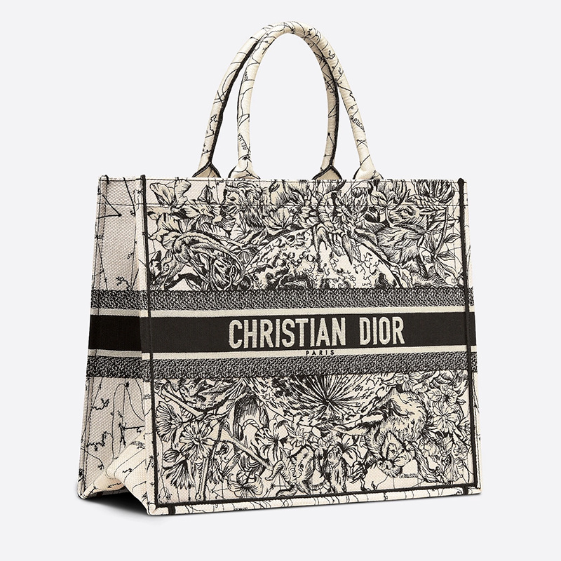 Dior Book Tote