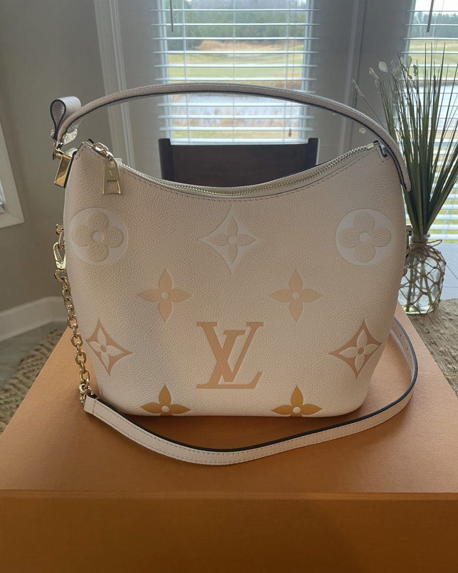 Louis Vuitton Marshmallow Cream Ombre By The Pool Hobo Bag, Sold Out