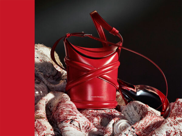Your Look at the New Alexander McQueen The Curve Bag