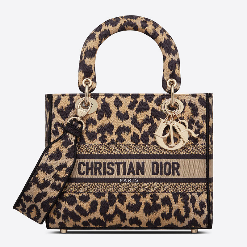 Christian Dior Grey, Pattern Print 2021 Medium Mizza Bobby Bag