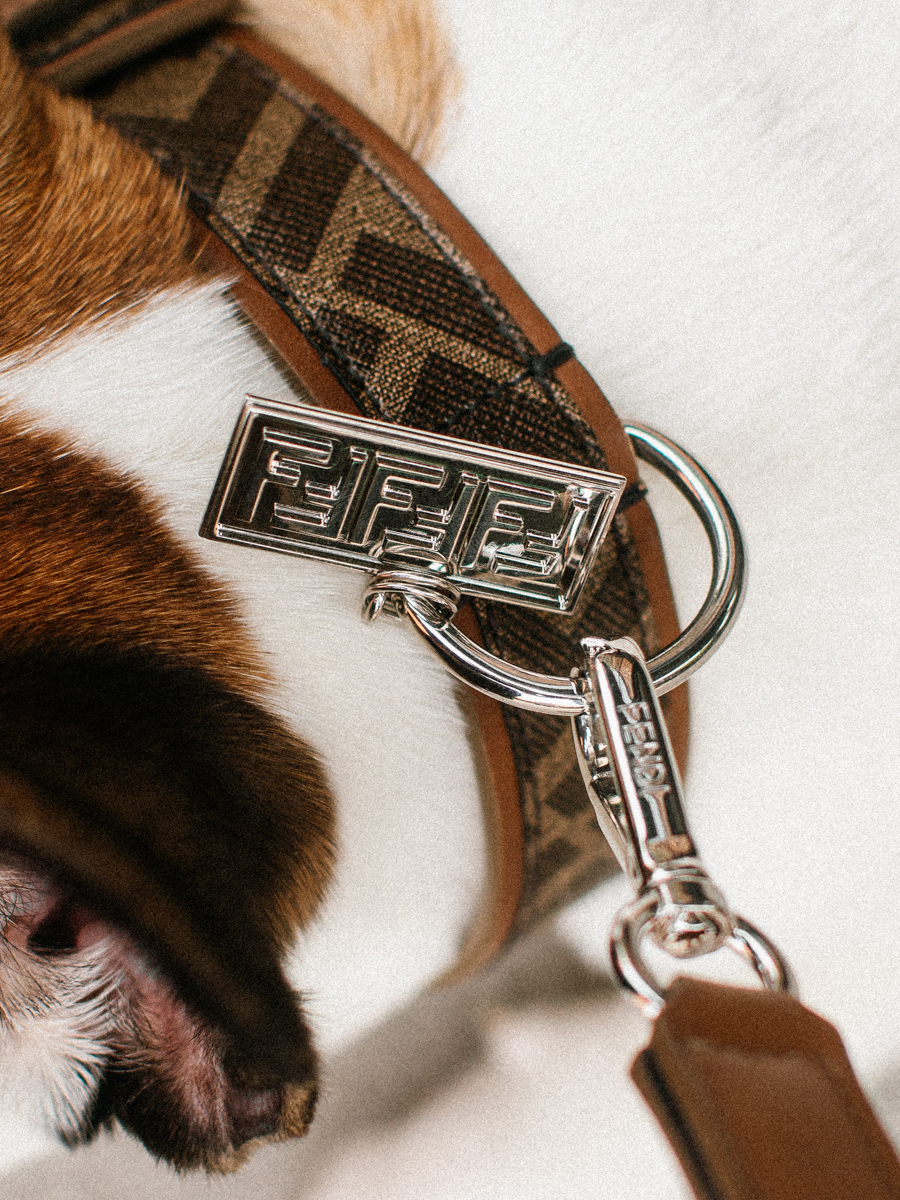 Louis Vuitton K9 puppy dog keychains Review!!!! One of a kind item