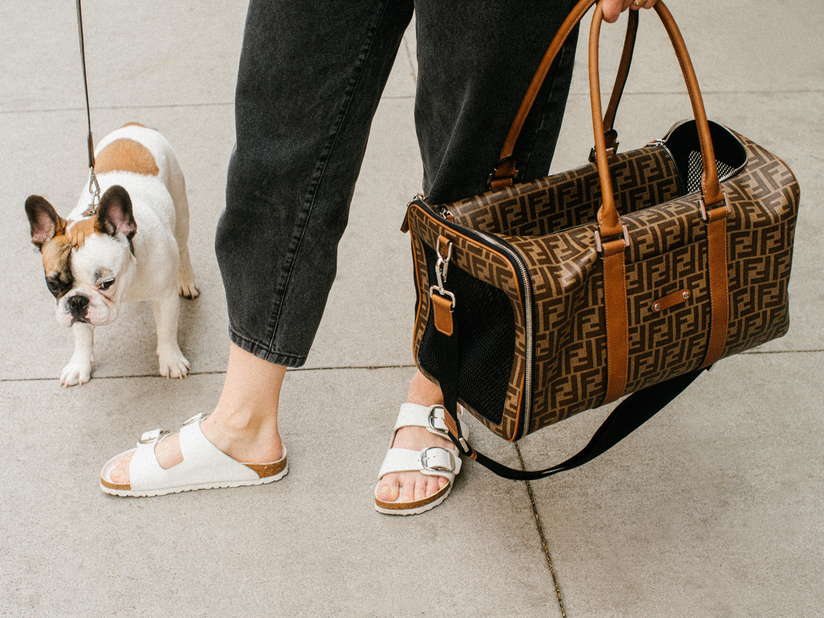 Furry Friends Rejoice: Fendi Pet Has Arrived - PurseBlog