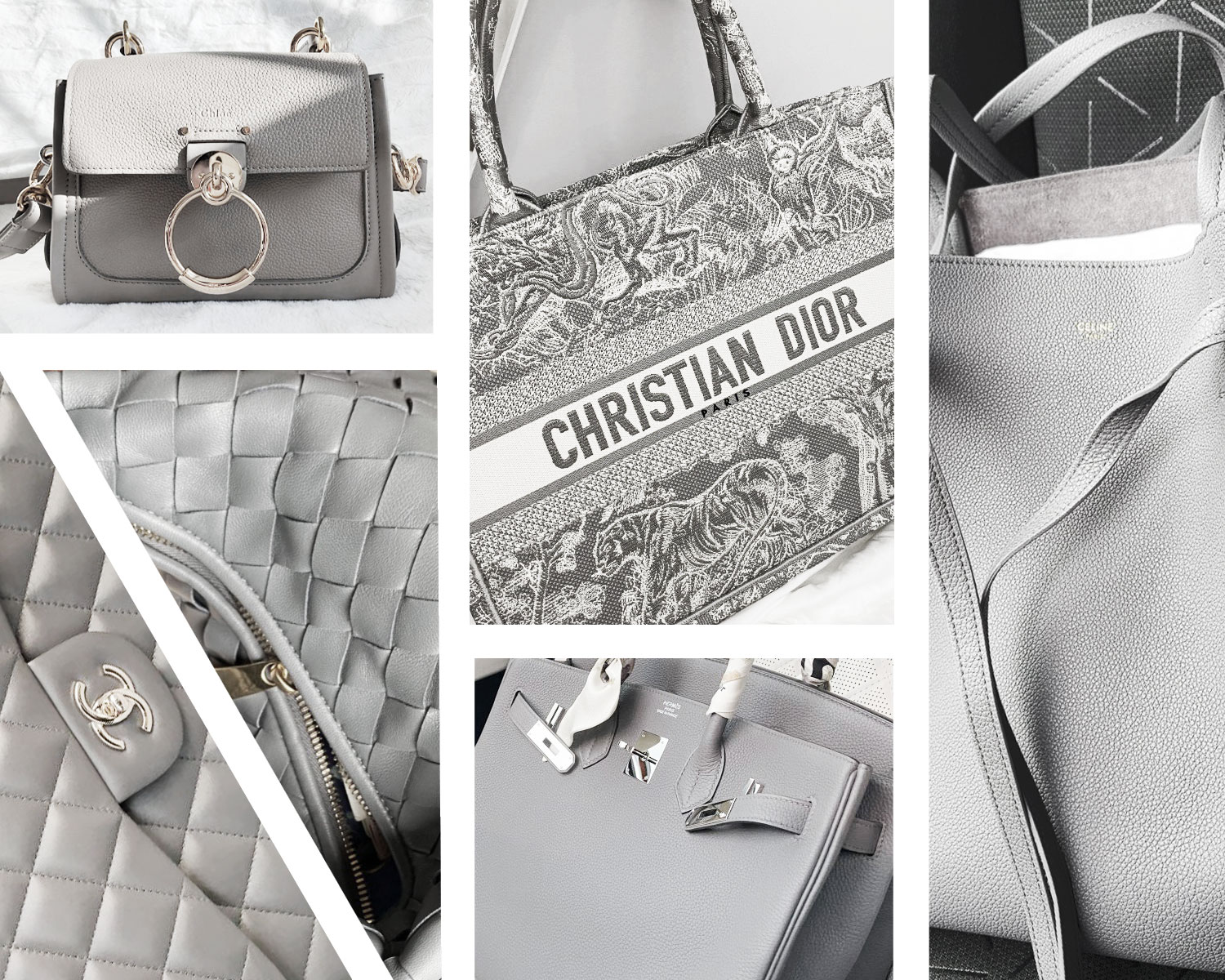 Chanel's Cruise 2021 Bags Just Hit Boutiques - PurseBlog