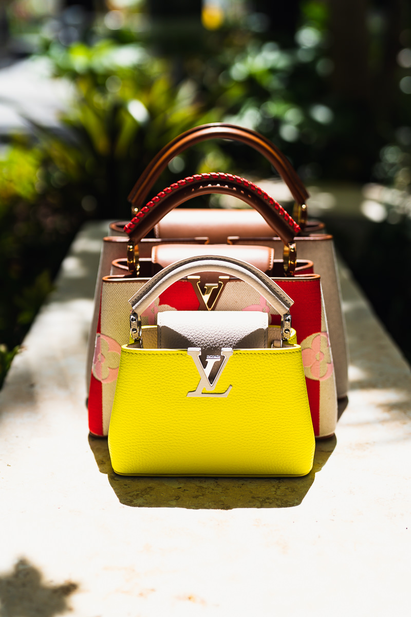 Louis Vuitton's Fall 2021 Bags - PurseBlog