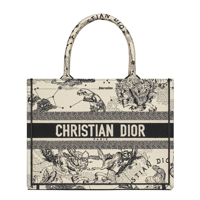 The Ultimate Bag Guide: Dior Book Tote - PurseBlog