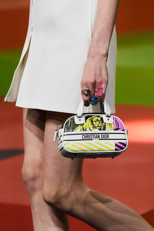 A Look at Bags From Dior's Spring 2021 Collection - PurseBlog