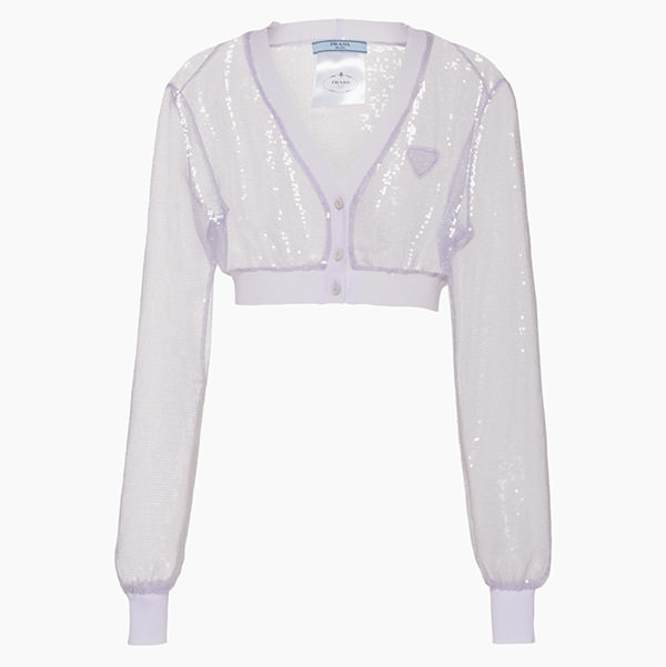 Sequin Embroidered Tulle Crop Top