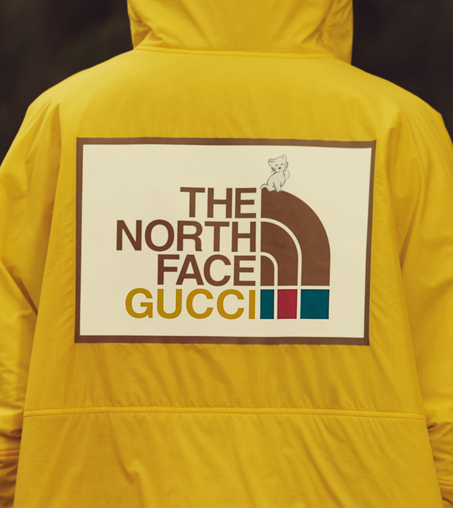 Gucci Introduces a Covetable New Collaboration With The North Face -  PurseBlog