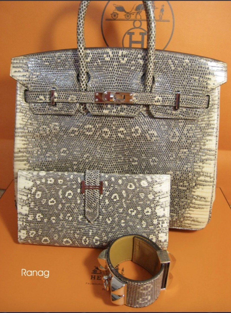 Hermes Birkin 25 Bag Ombre Lizard SHW