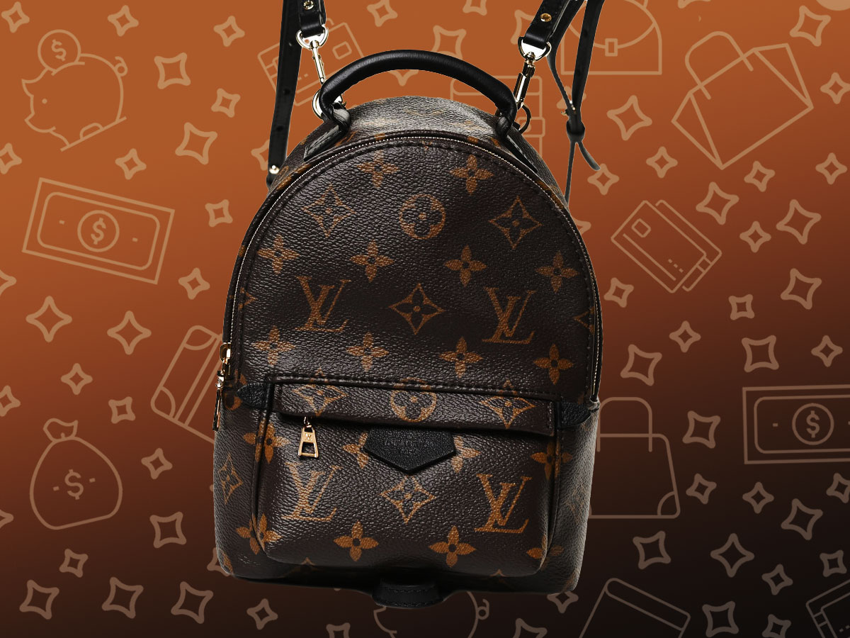 Louis Vuitton Palm Springs Backpack Organizer Insert, Classic