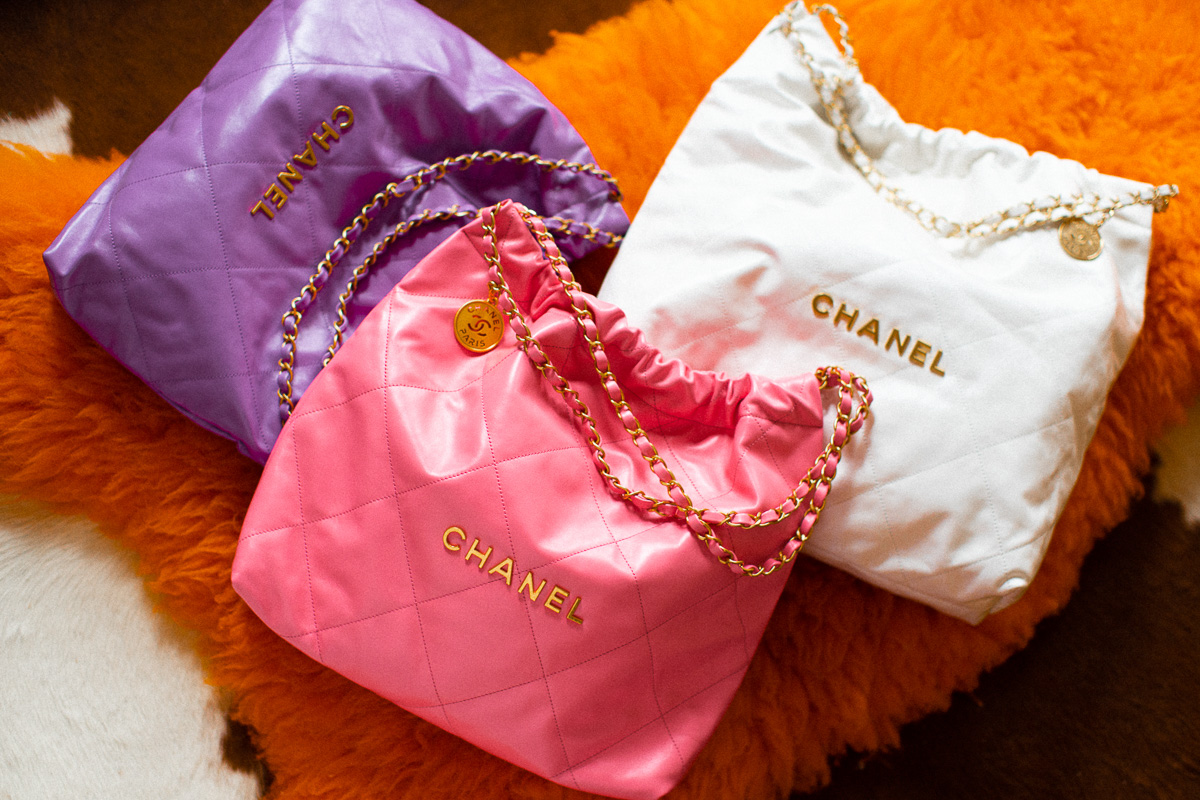 Chanel 22 Bag 28