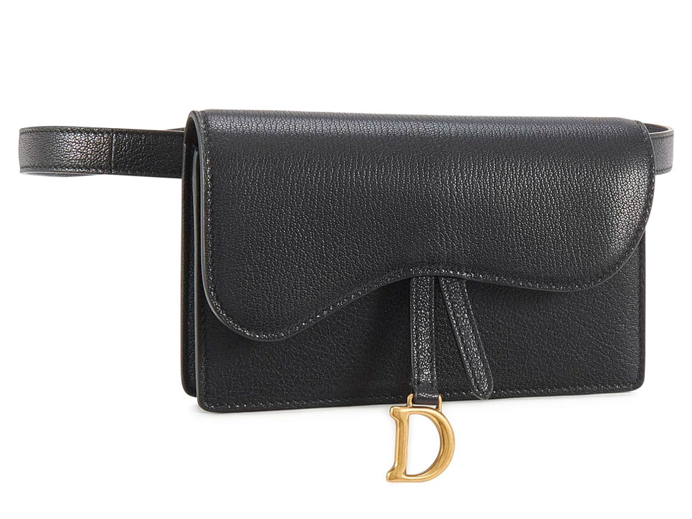 Dior Saddle Pouch