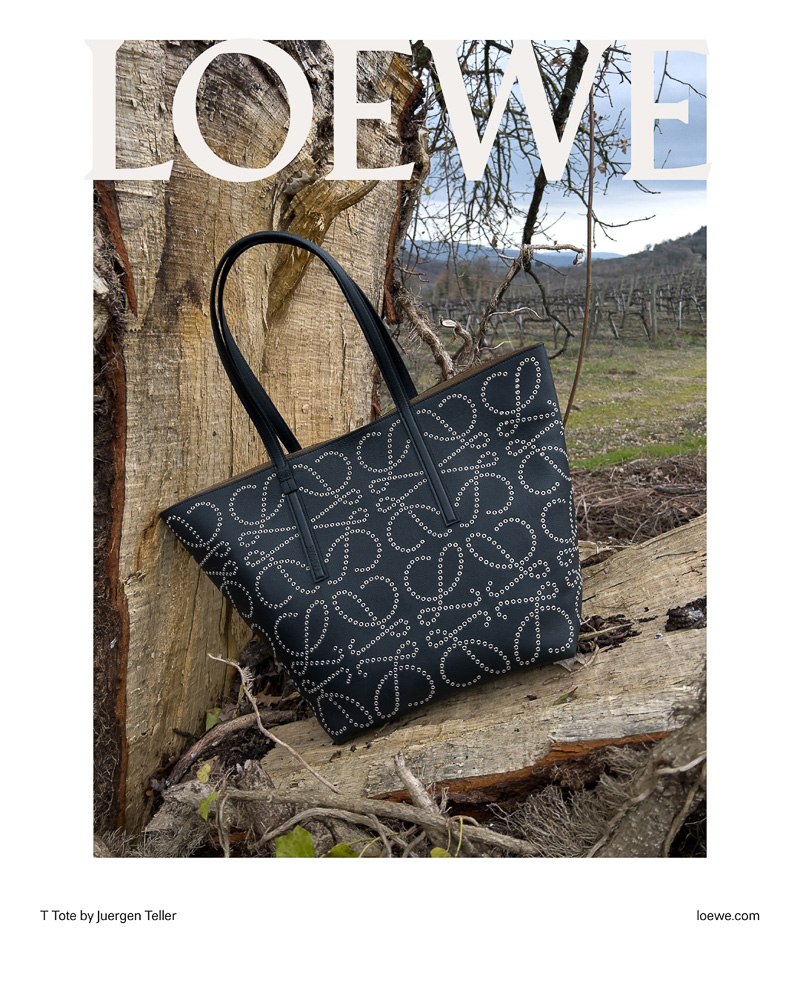 Loewe FW 22 16