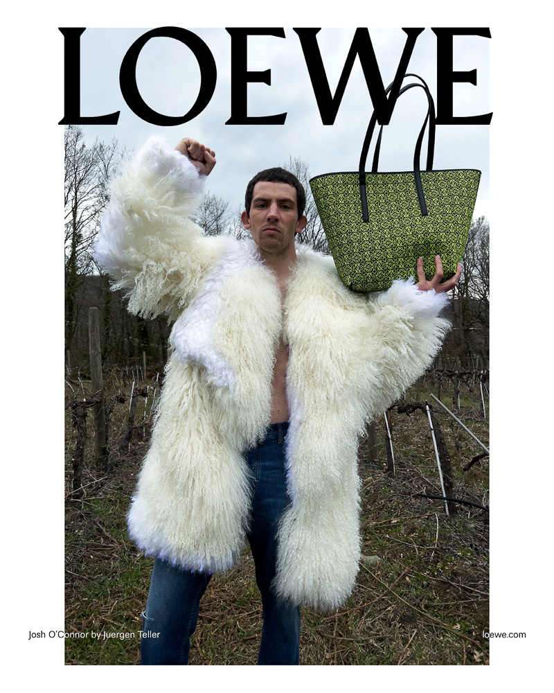 Loewe FW 22 4 Loewe FW 22 4