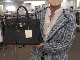 The 20cm Hermès Birkin: It's FINALLY Here! - PurseBlog