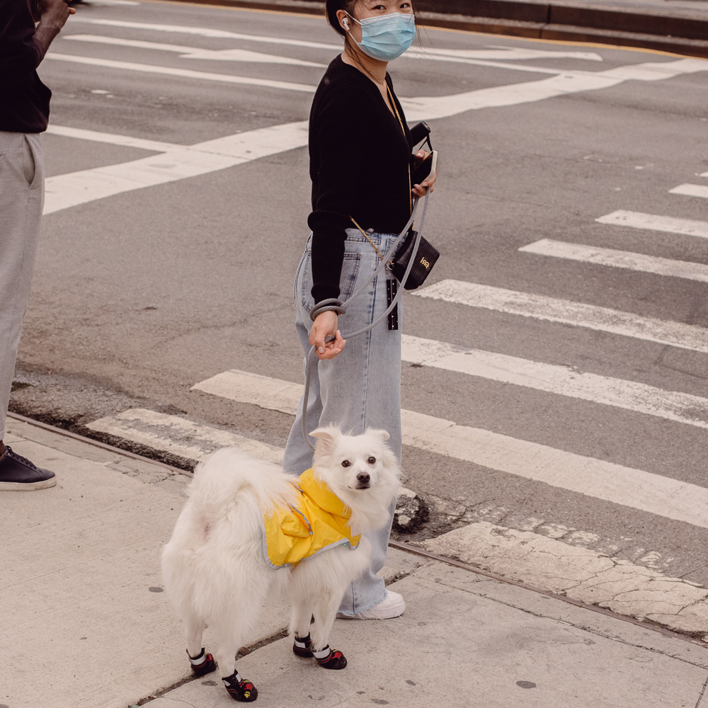 NYC BAGS IN THE WILD 14