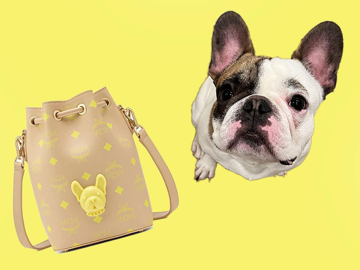 This French Bulldog bag charm is too cute