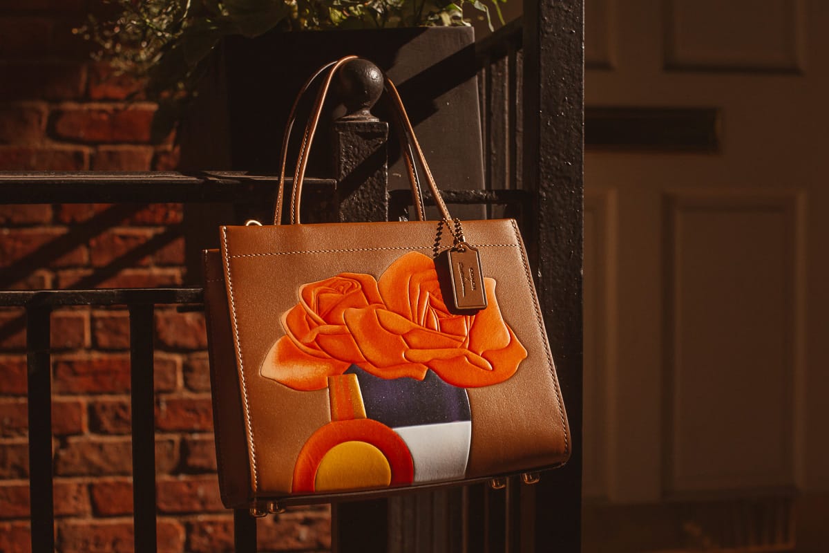 Coach x Tom Wesselmann 16