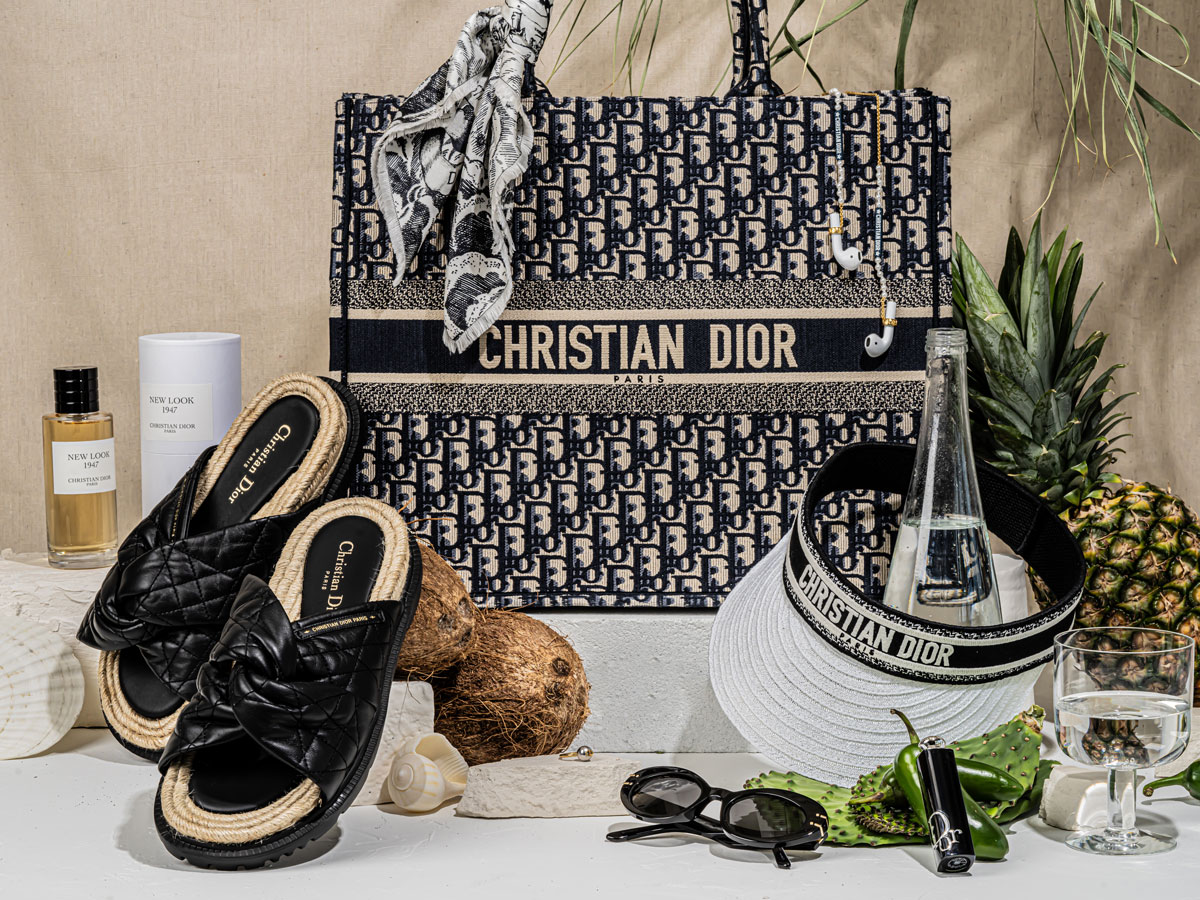 The Ultimate Bag Guide: Dior Book Tote - PurseBlog