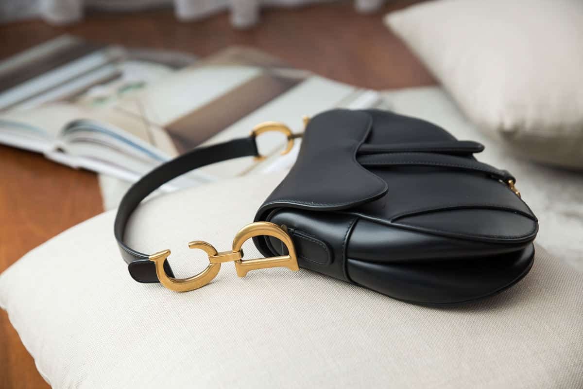 Dior Oblique Saddle Bag Review 