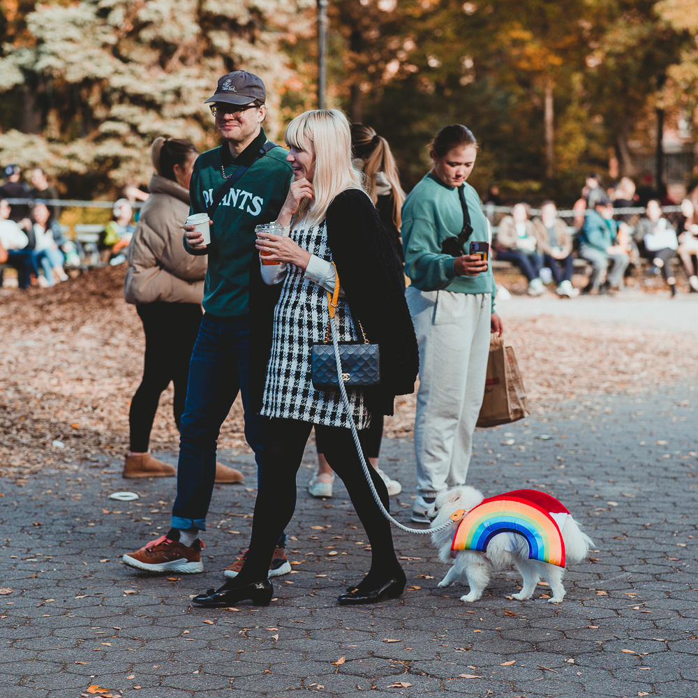 BITW Thompskins Square Park Dog Costume 15